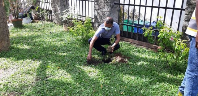සෞභාගයා ගෙවතු වගාව ආරම්භක වැඩසටහන යටතේ 2020.05.15 දින දිස්ත්‍රික් ලේකම් කාර්යාල පරිශ්‍රයේදී පැවැත්වූ පැළ සිටුවීමේ අවස්ථාව.