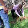 සෞභාග්‍යා ගෙවතු වගාව ආරම්භක වැඩසටහන යටතේ දිස්ත්‍රික් ලේකම් කාර්යාල පරිශ්‍රයේ පැළ සිටුවීම